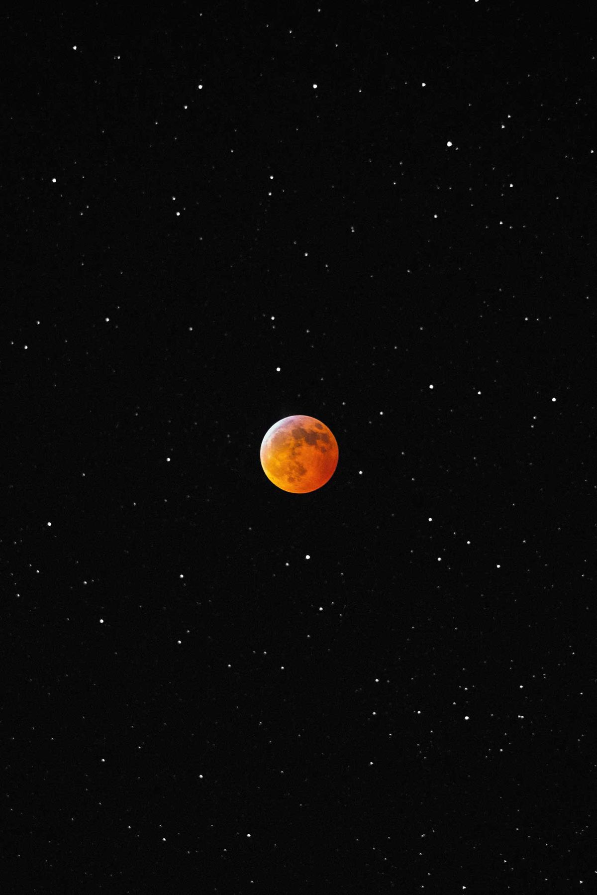 Wolf Moon
