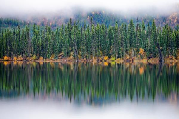 Northern Reflection