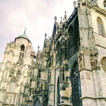 Vienna
