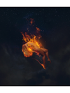 LIMITED EDITION Autographed Up In Flames Poster