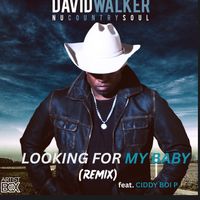 LOOKING FOR MY BABY REMIX by DAVID WALKER