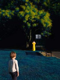 Projections