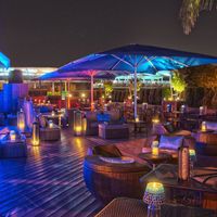 Relic Rocks The South Fin Grill