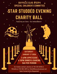 Silver Reign - Bayville Elks #2394 Special Children's Committee Charity Ball!