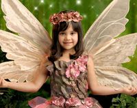 Milford's Annual Fairy Frolic Family Concert
