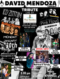 David Mendoza plays Led Zeppelin, Pink Floyd, Rolling Stones Tribute