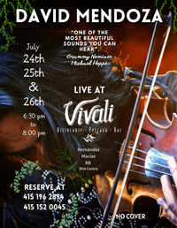 David Mendoza live at Vivali Ristorante Bar
