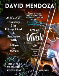 David Mendoza live at Vivali 