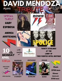 David Mendoza plays David Bowie/The Police Tribute