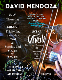 David Mendoza Live at Vivali