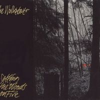Setting the Woods On Fire by The Walkabouts