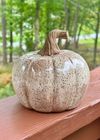 Ceramic Pumpkin (large, ~5" tall)