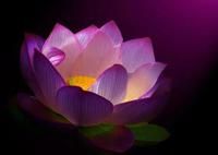 Monthly Ann Arbor Kirtan