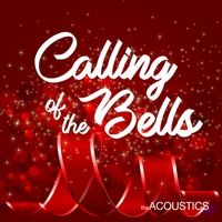The Acoustics

