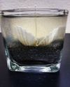 Square Black Sand Sea Shell Gel Candle