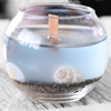 Wood Wick Round Murky Sea Shell Gel Candle