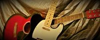 Live at the Nags– A new musical showcase