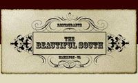 The Beautiful South
