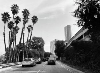 Exit off Highway 134 (Ventura Freeway) onto N. Pass Ave., Burbank, California
