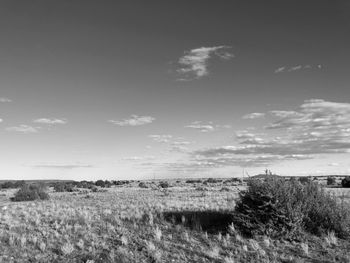 Open field near Winslow, Arizona
