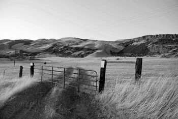 Open field near The Dalles, Oregon (on the Washington side).
