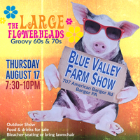 LARGE Flowerheads at Blue Valley Farm Show