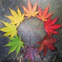 Equinox Song Circle