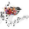 Podcast Course (Audio Recordings Only) - Available Immediately