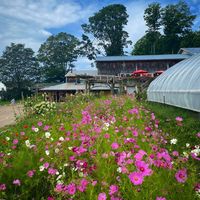 Pond Hill Farm - N3C