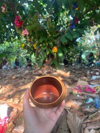 Cérémonie du Cacao pour le Solstice 