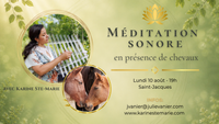 Méditation sonore en présence de chevaux 