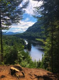 REPORTÉ - Randonnée en forêt, méditation & sagesse des gardiens de la terre 
