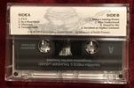 Rob Basso / Warren Spencer (of GG Allin & The Jabbers) Temptation & the Tempted  Cassette