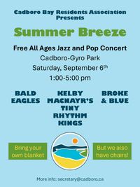Bald Eagles and Broke & Blue perform at Summer Breeze Summer Conceret