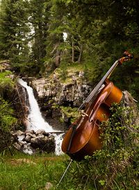 Aerie Trio performs at The Art of Flavour and Sound