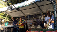 David Loeppke Band @ Fred Fest - 19th Annual   
