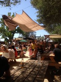 David Loeppke Band at Paradise