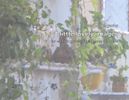 little lovely images (score and electronics)