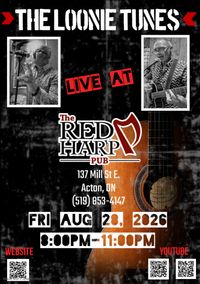 The Loonie Tunes (half of The 2 Dollar Bills) at The Red Harp Pub
