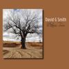 Witness Trees -                                                          Autographed CD