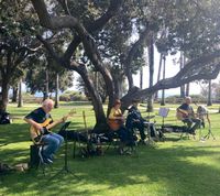 Sunday Afternoon Concerts!