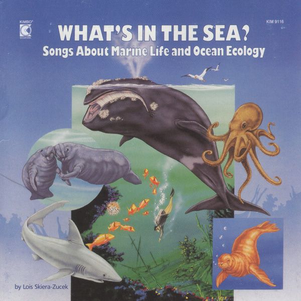 KIM9116 What's in the Sea?