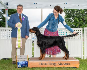 Best in Puppy Sweepstakes MidAtlantic Regional-Sun26
Judge Jerome Elliott
