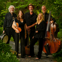 Colcannon Christmas Concert