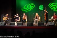 Féile Cheoil Larry Reynolds