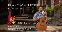 Peter Flamisch nyári koncert