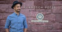 Gitárest a Neptun Hotelben