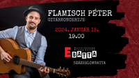 Flamisch Péter gitárest
