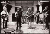 Tributosaurus Becomes Crosby, Stills, Nash and Young