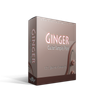 GINGER GUITARS 